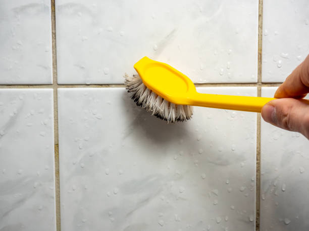 Best Commercial Mold Removal  in Edmonds, WA