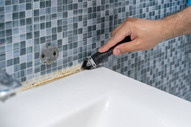 Best Home Mold Removal  in Edmonds, WA
