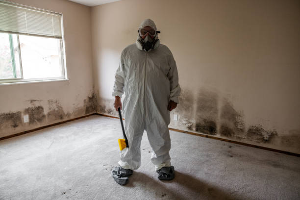 Edmonds, WA Mold Removal Company